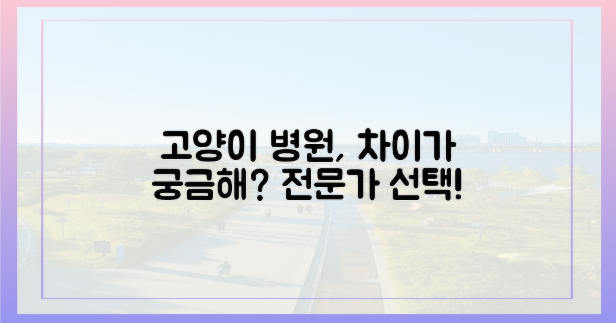 고양이 전문 병원, 이렇게 다릅니다