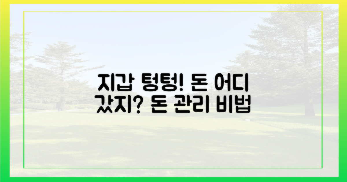 내 지갑, 왜 비어갈까?