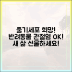 최신 줄기세포 치료, 퇴행성 관절염 앓는 반려동물의 새로운 희망