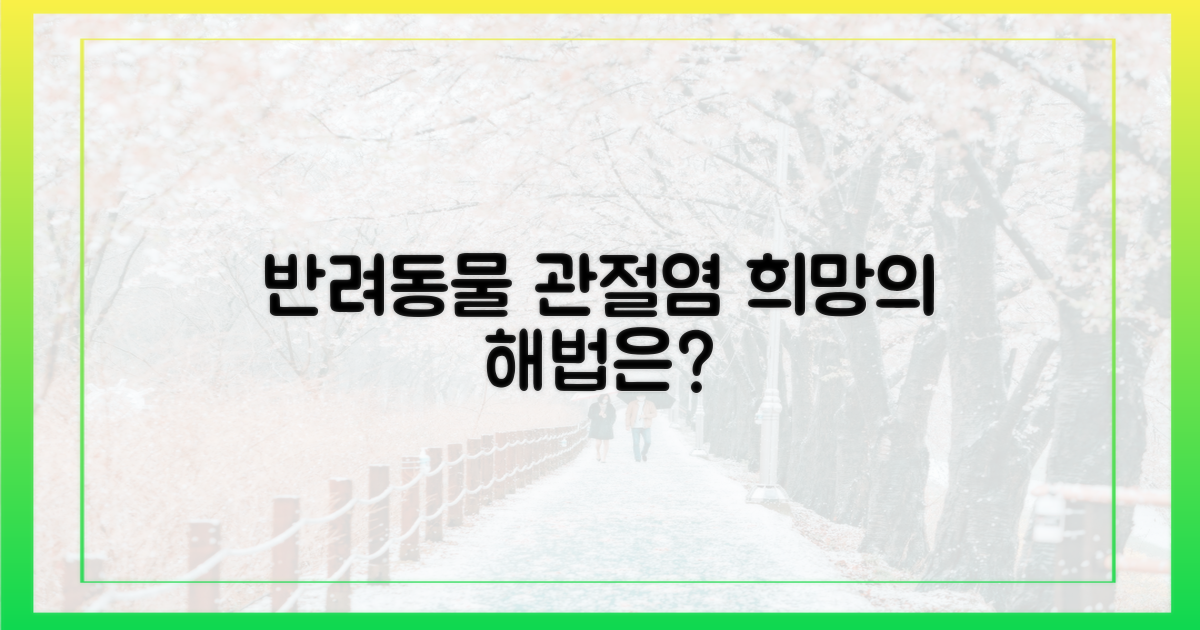 반려동물 관절염, 희망이 있나요?