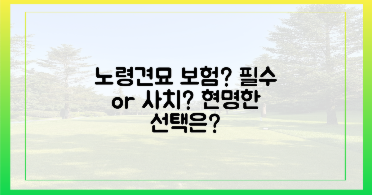 노령 반려동물, 보험이 필요할까?