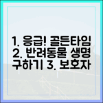 반려동물 응급 상황, 골든타임을 지키는 보호자의 첫 번째 행동 지침