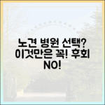 노령견 전문 동물병원 선택, 이것만은 꼭 따져보세요