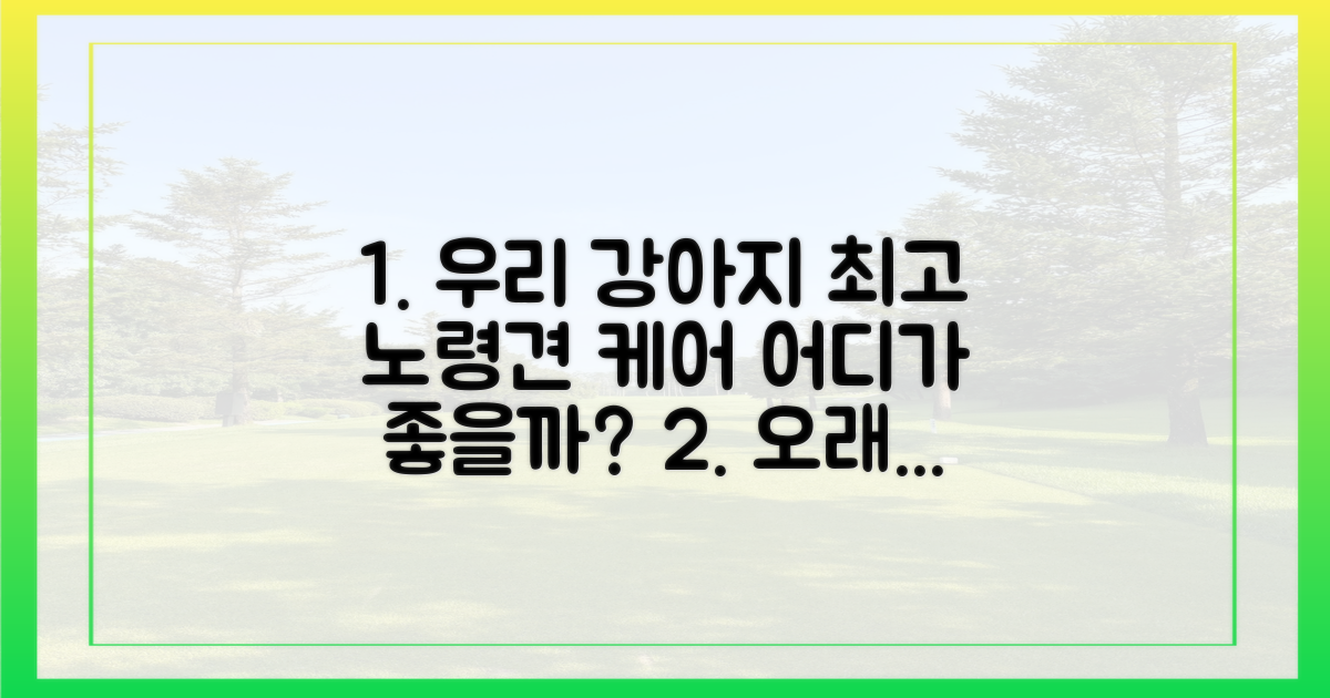노령견 케어, 어디가 좋을까?
