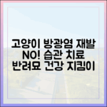 고양이 방광염, 재발 막는 생활 습관과 치료법