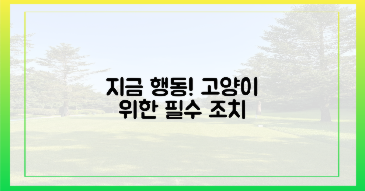 당신의 고양이를 위해 지금 행동하세요
