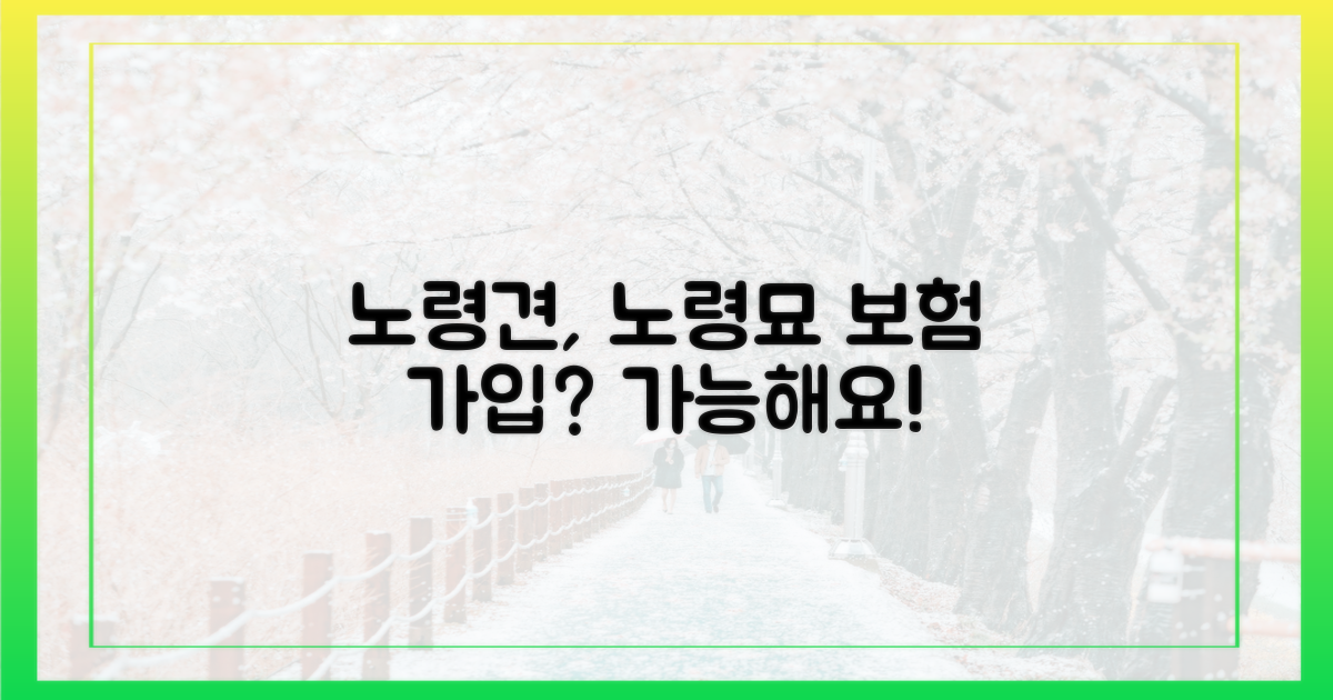 노령견, 노령묘 보험 가입 가능할까?
