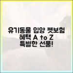 유기동물 입양 가족을 위한 특별한 펫보험 혜택 A to Z