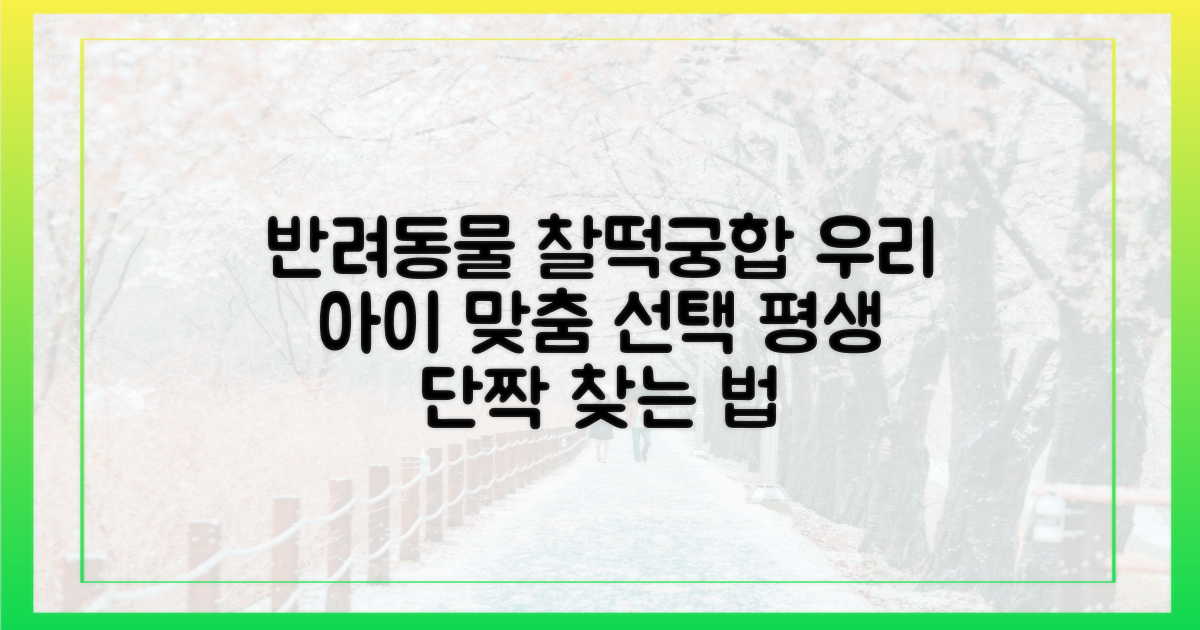 내 반려 동물에게 맞는 선택법
