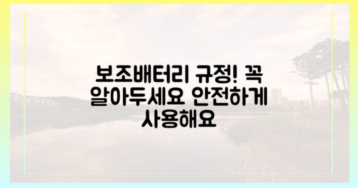 보조배터리 규정을 숙지하세요