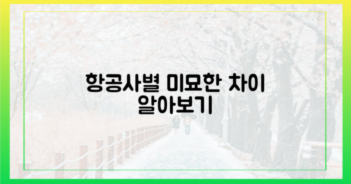 항공사별 미묘한 차이