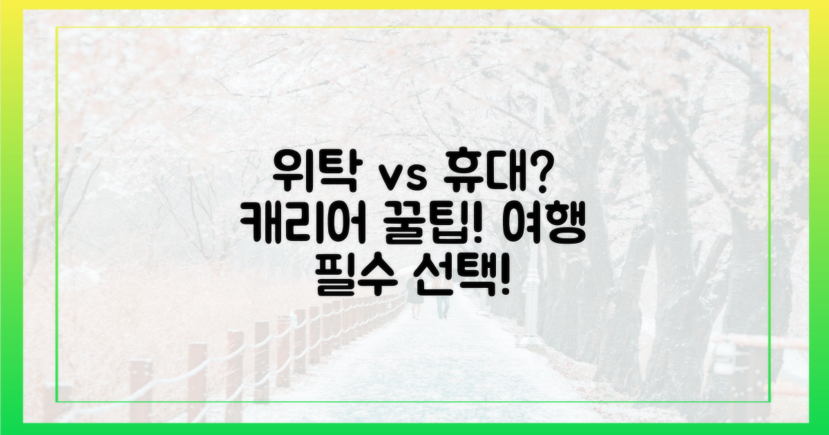 위탁 vs 휴대 수하물