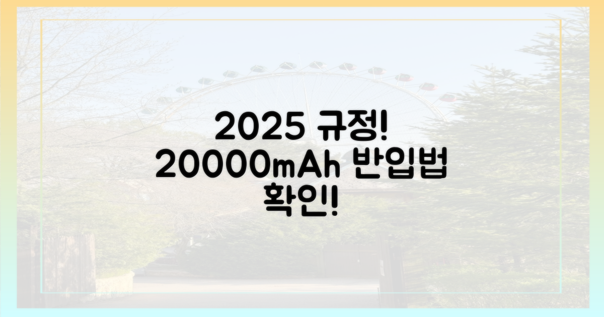 2025년 규정: 20000mAh 반입법