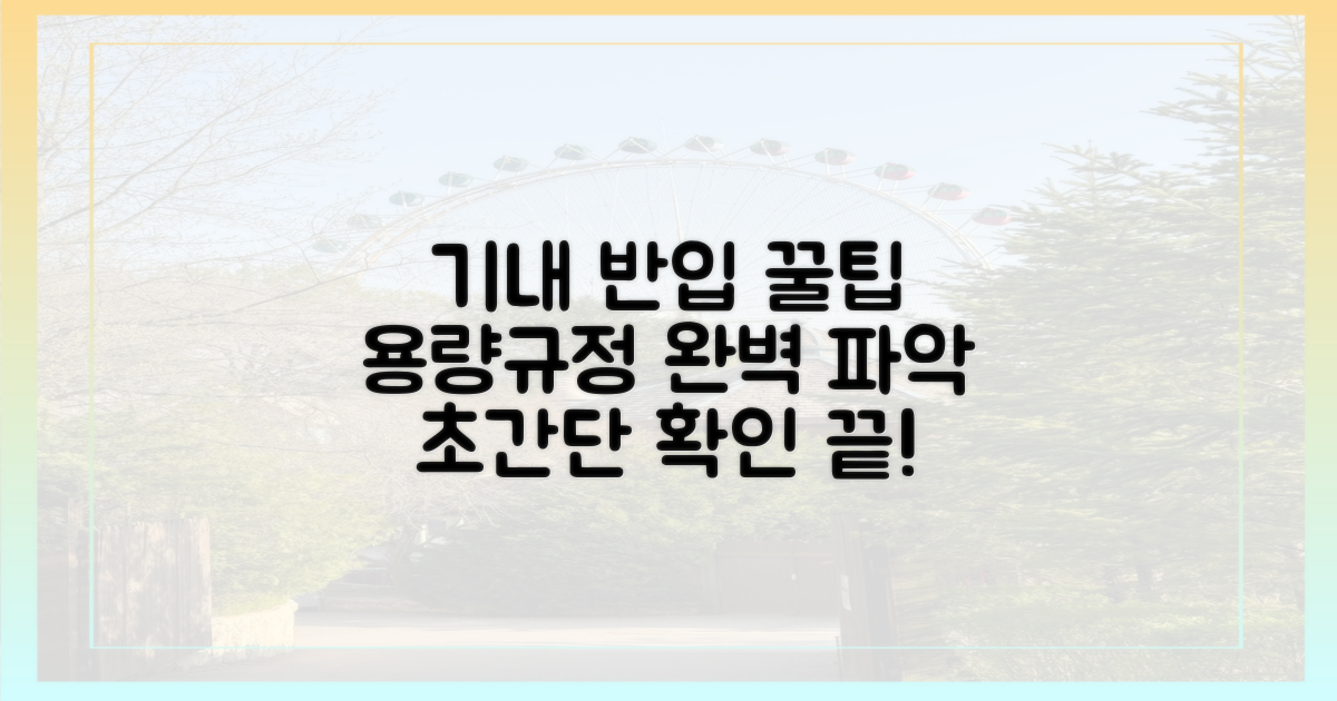 용량 및 기내 반입 규정