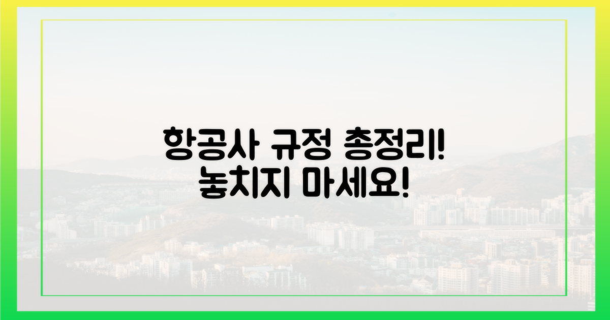 항공사별 규정 총정리