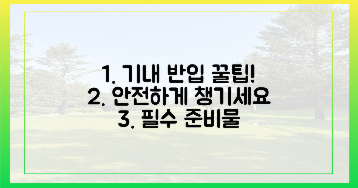 안전한 기내 반입 팁