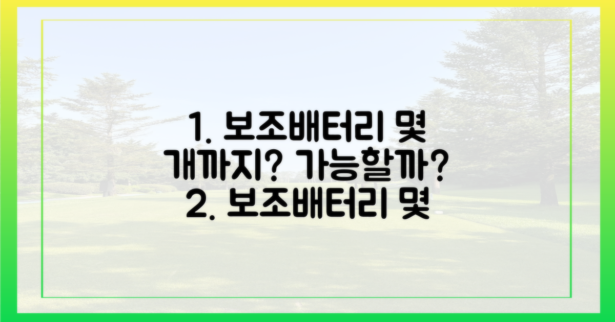 보조배터리, 몇 개까지 가능할까?