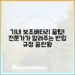 보조배터리 전문가가 알려주는 기내 반입 꿀팁 대방출