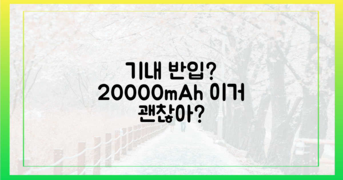20000mAh, 기내 반입될까?