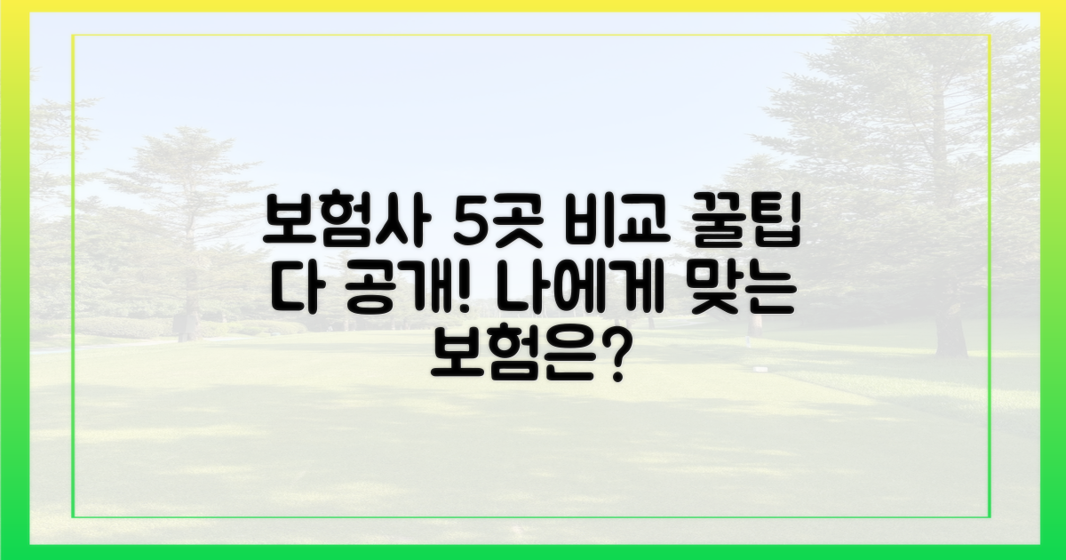 5가지 보험사별 비교 정보