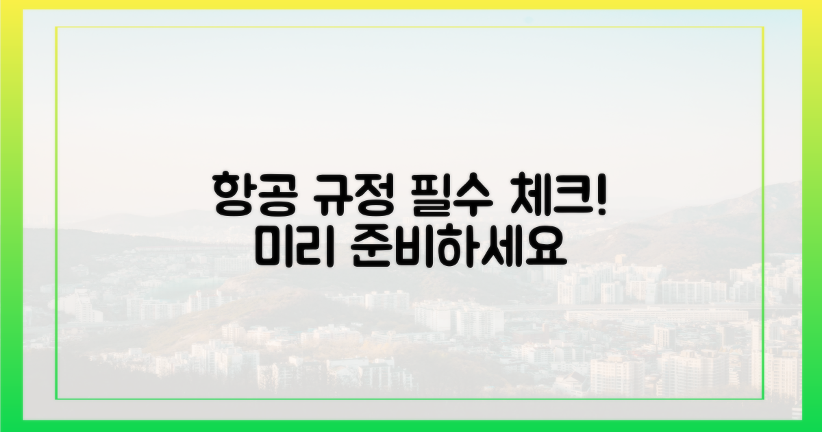 항공 규정 미리 확인하세요