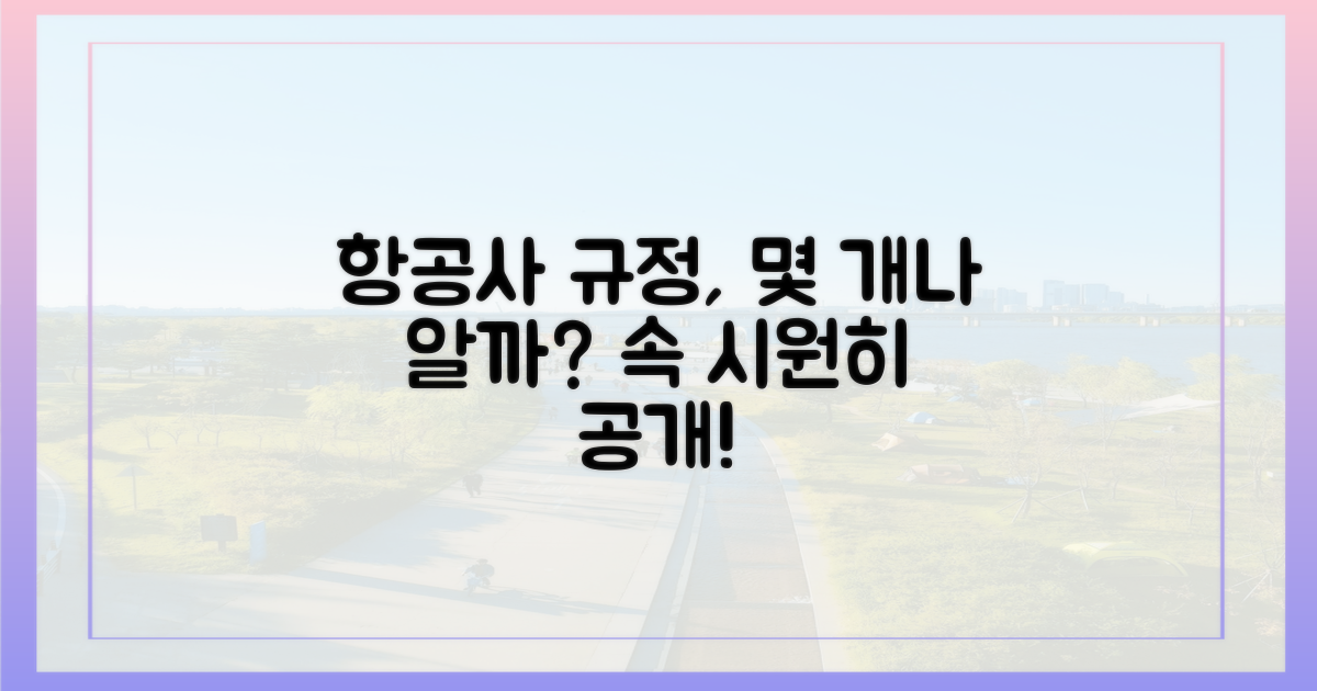 항공사 규정, 몇 개까지?