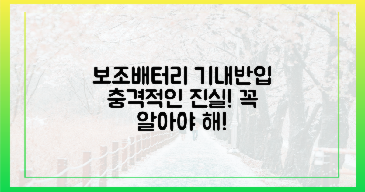 기내 안전, 보조배터리 진실