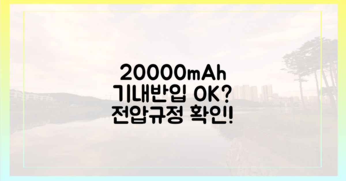 20000mAh, 기내 반입 규정 따로 있나?