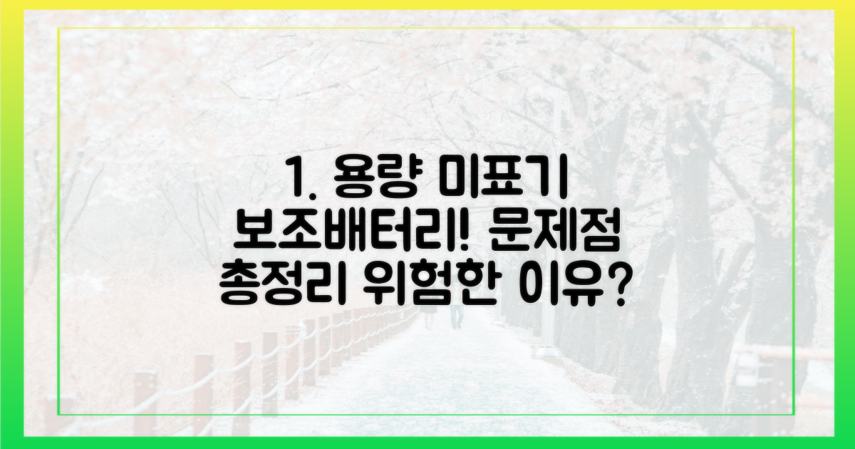 왜 '용량 미표기' 보조배터리가 문제일까?