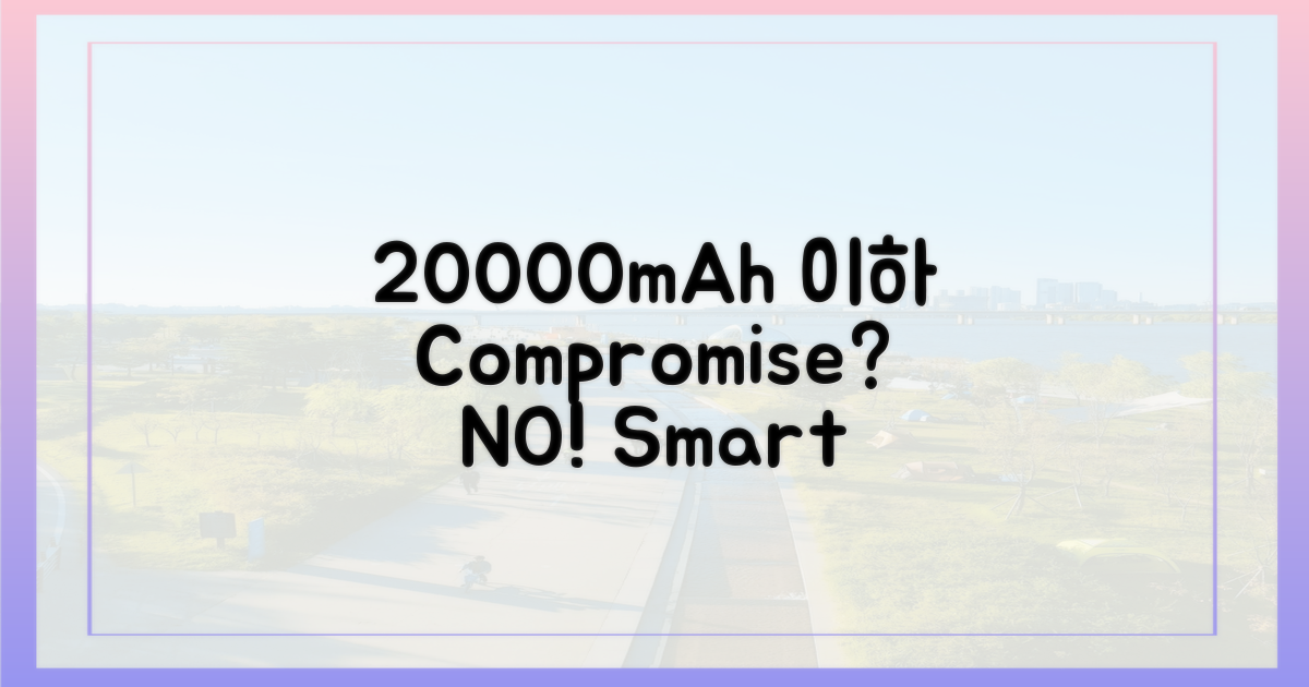 20,000mAh 이하 소지