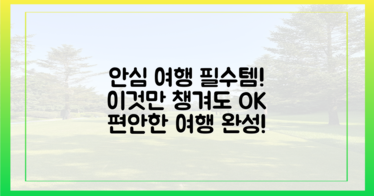 안심 여행, 이것만은 꼭!