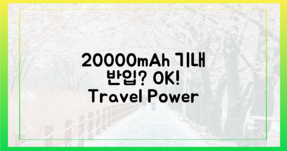20000mAh, 기내 반입 규정 확인하기!