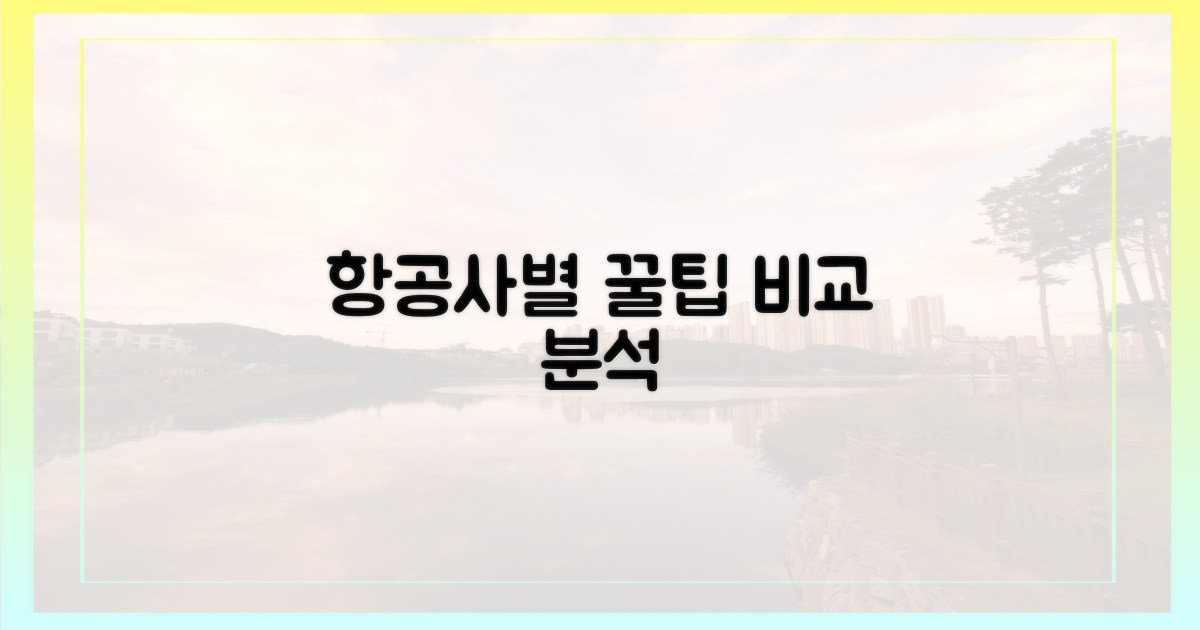 항공사별 미묘한 차이