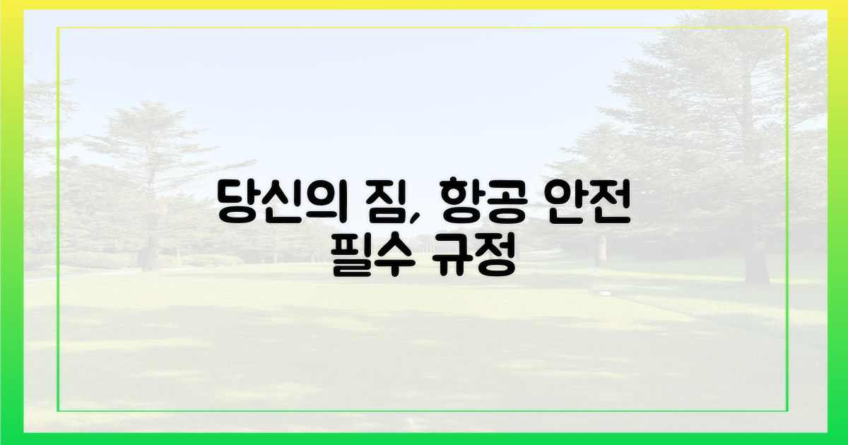 항공 안전 규정, 당신의 짐 속에