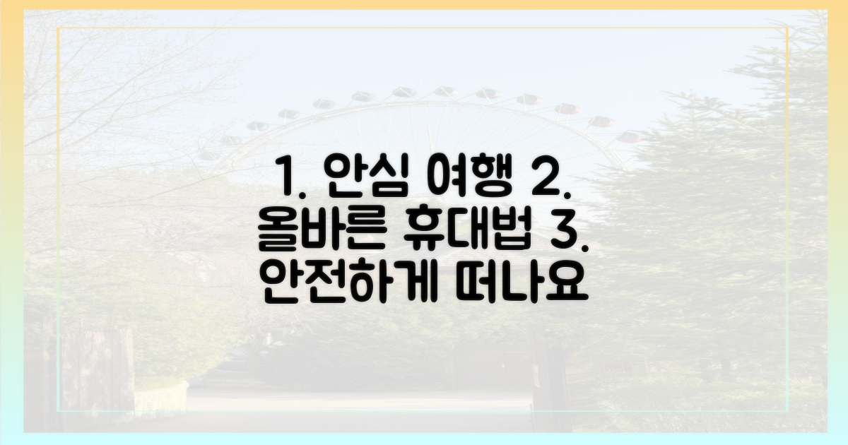 안심 여행, 올바른 휴대법