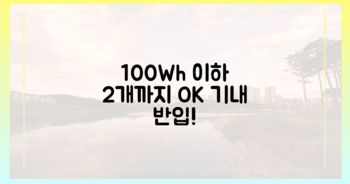 100Wh 이하 2개까지 OK