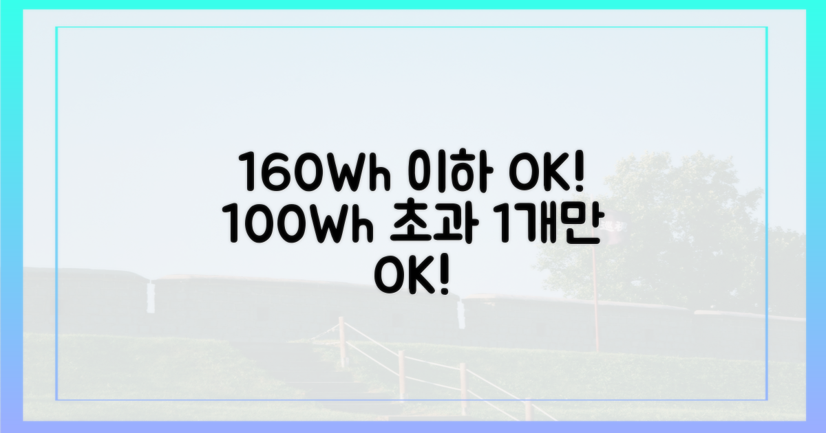 100Wh 초과 160Wh 이하 1개 OK