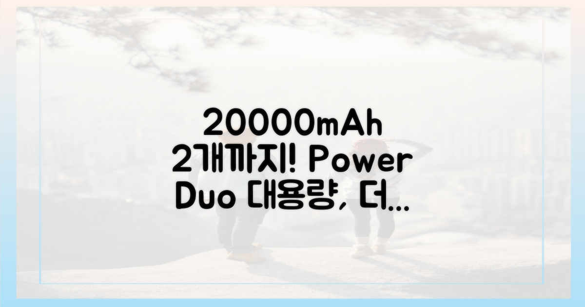 20000mAh, 2개까지 가능