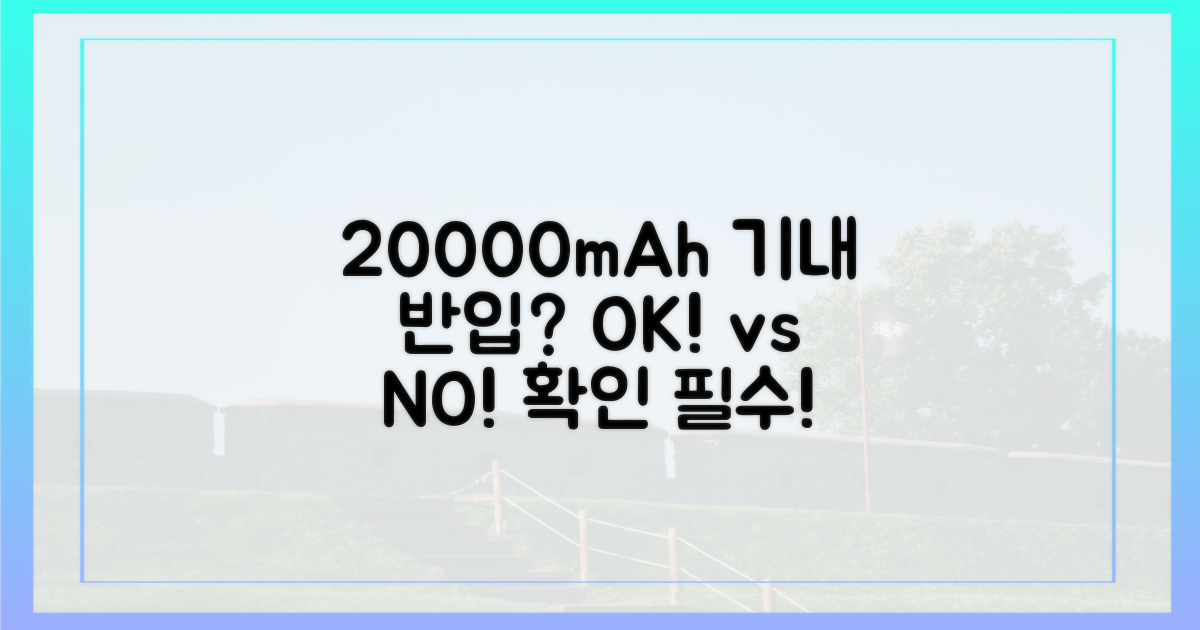 20000mAh, 기내 반입될까?