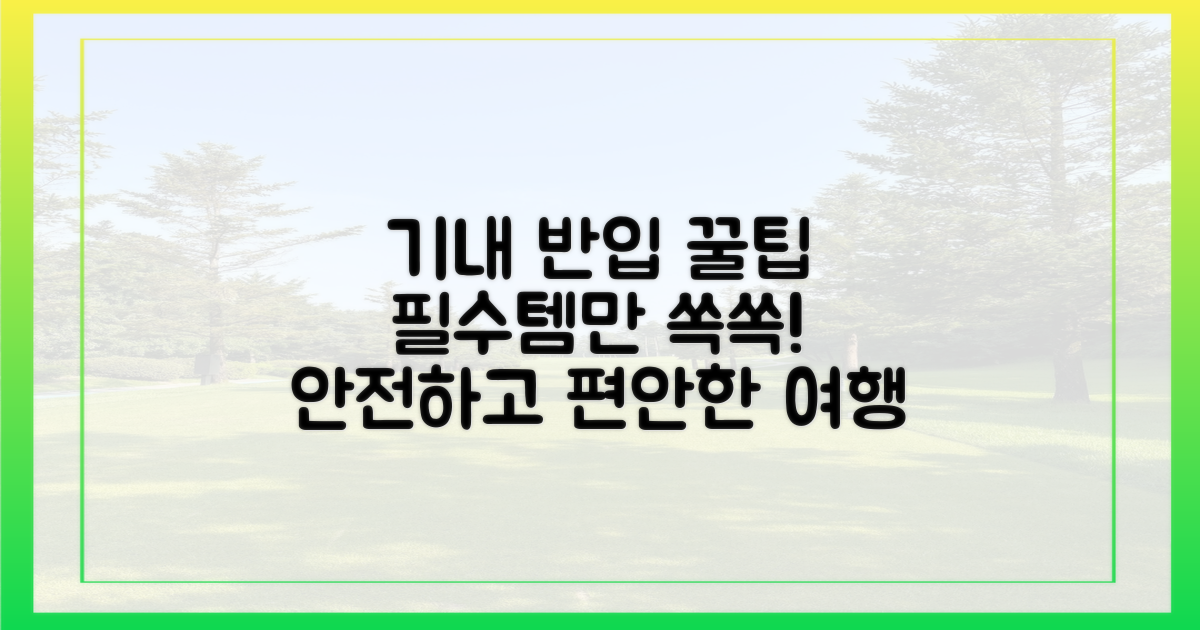 안전한 기내 반입 팁