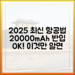 2025년 최신 항공법! 20000mAh 보조배터리 반입, 이것만 알면 끝