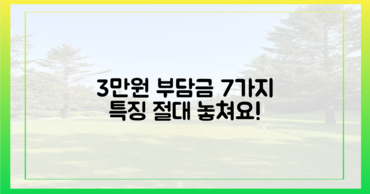 3만원 자기부담금 7가지 특징