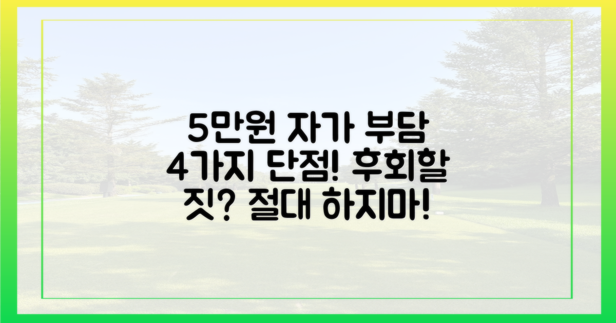 5만원 자기부담금 4가지 단점