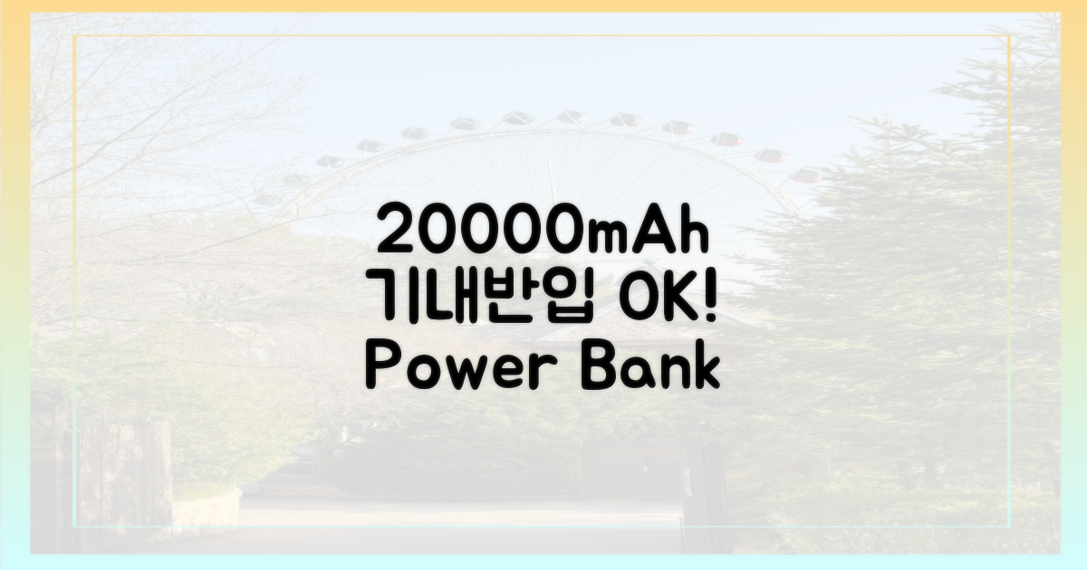 20000mAh는 위탁 수하물