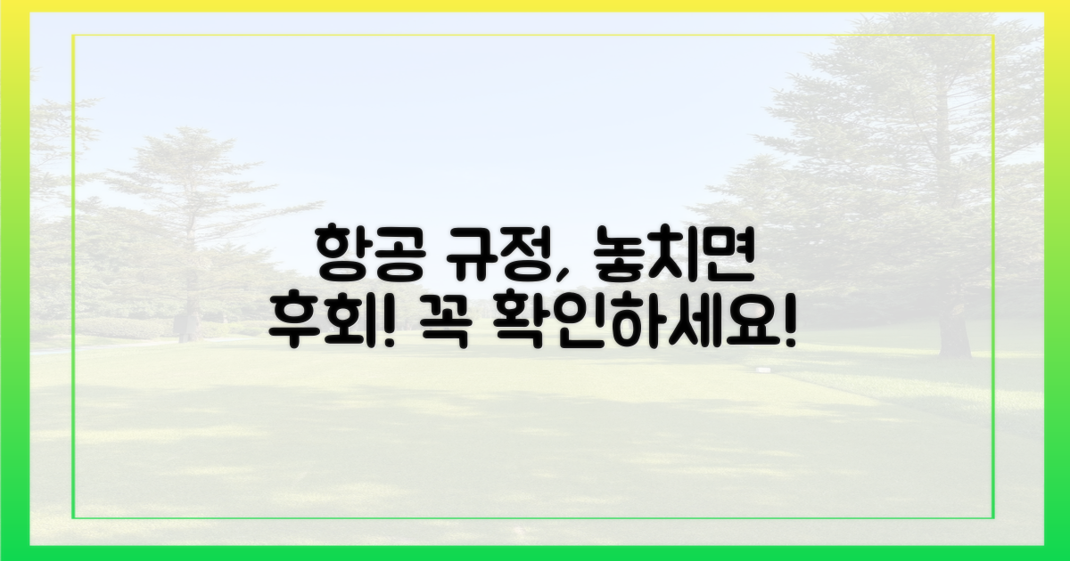 항공사 규정, 꼼꼼히 확인