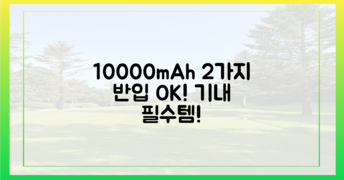 10000mAh, 2가지 반입 기준