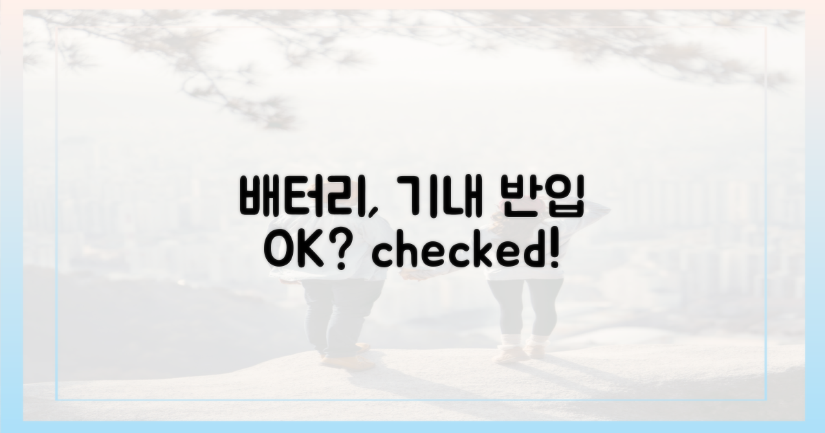 내 배터리, 비행기 반입 가능?