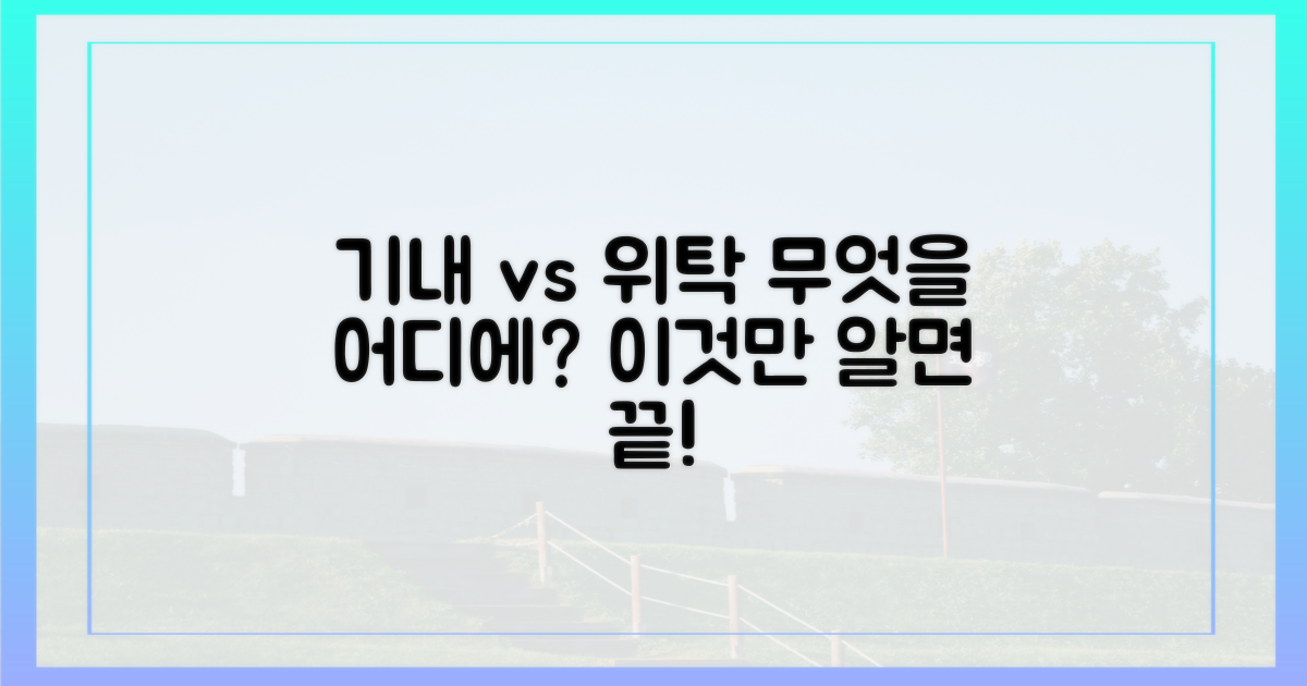 기내 vs 위탁 수하물: 어디에?