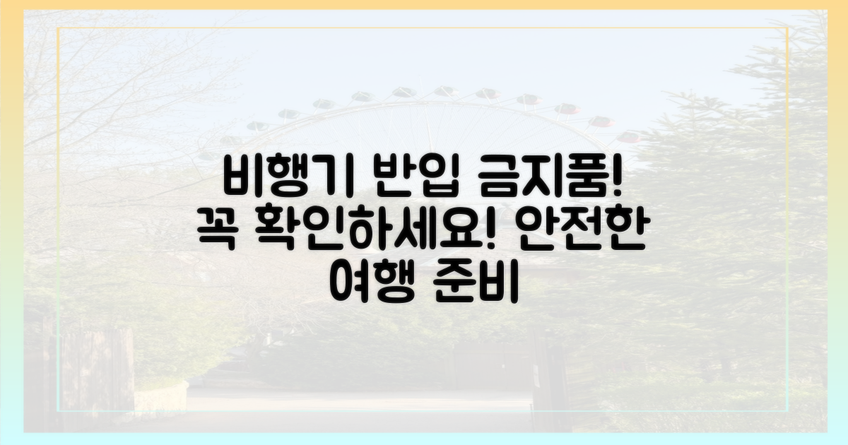 비행기 반입 시 꼭 확인!