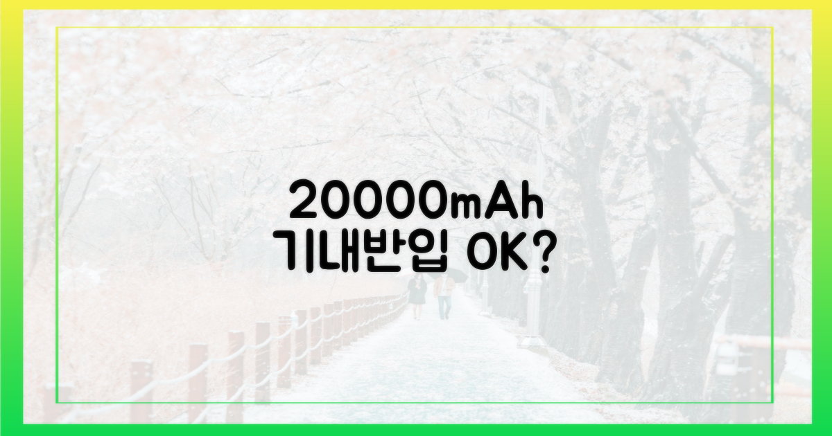 20000mAh 기내 반입 규정